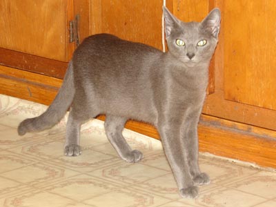 Natasha/natasha_3876_Js.jpg